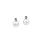 Σκουλαρίκια